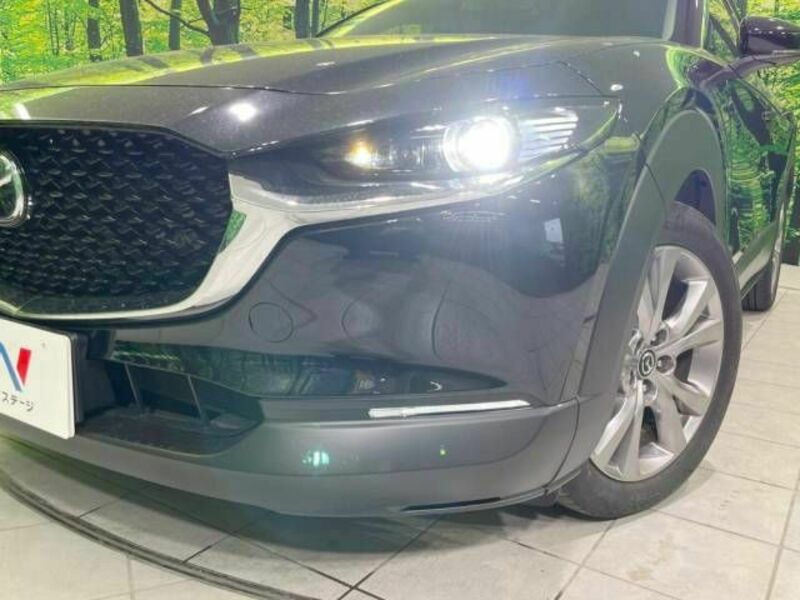 CX-30