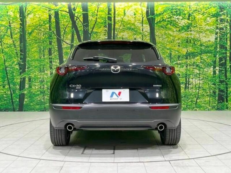 CX-30