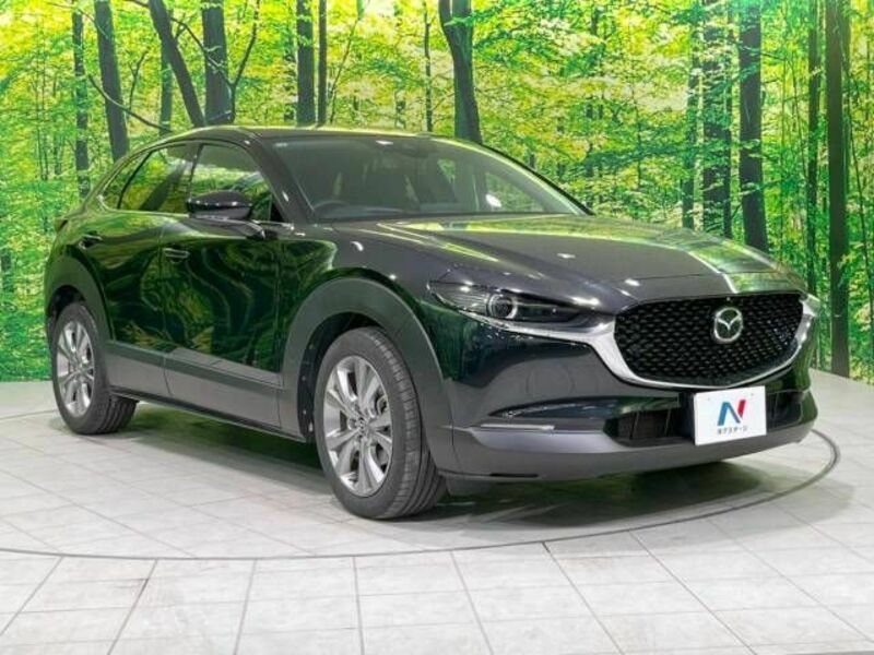 CX-30