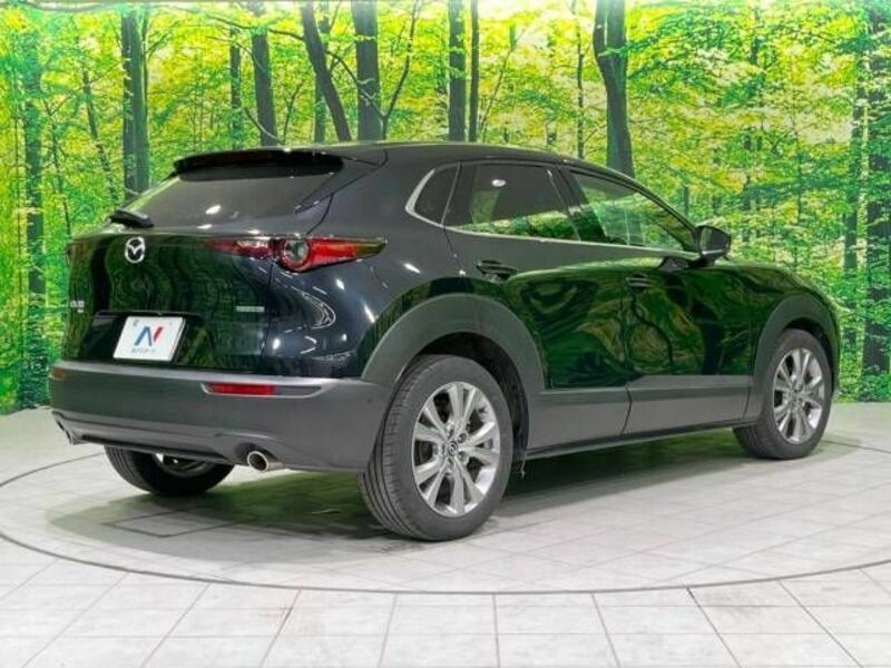 CX-30