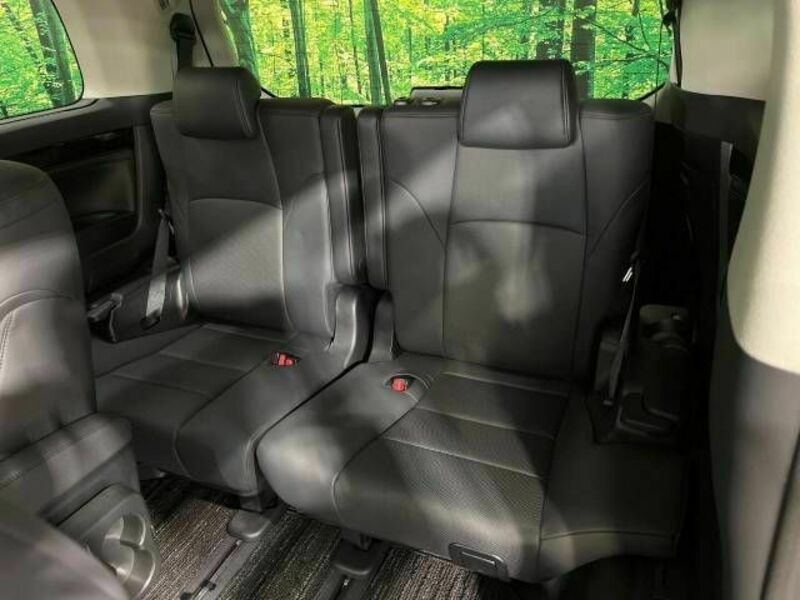 ALPHARD-10
