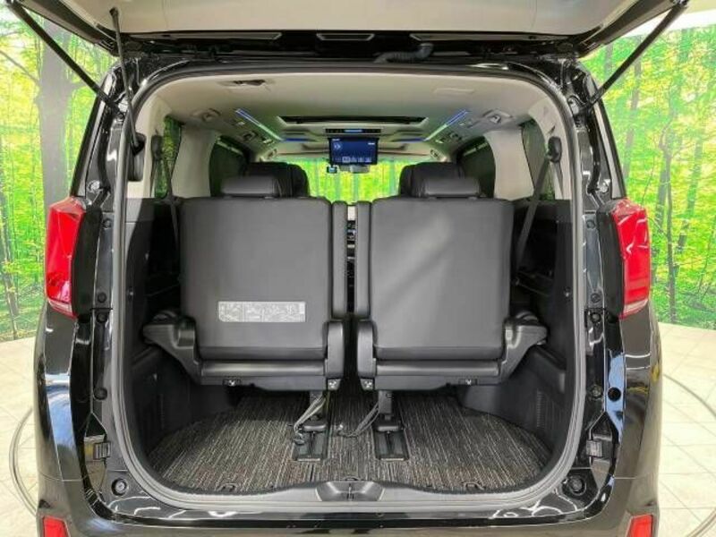 ALPHARD-11
