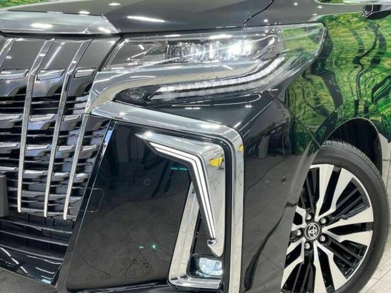 ALPHARD-13