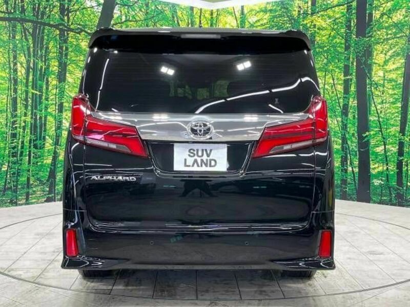 ALPHARD-16