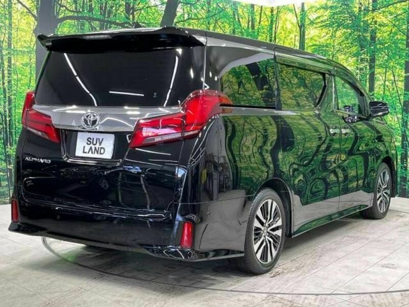 ALPHARD-18