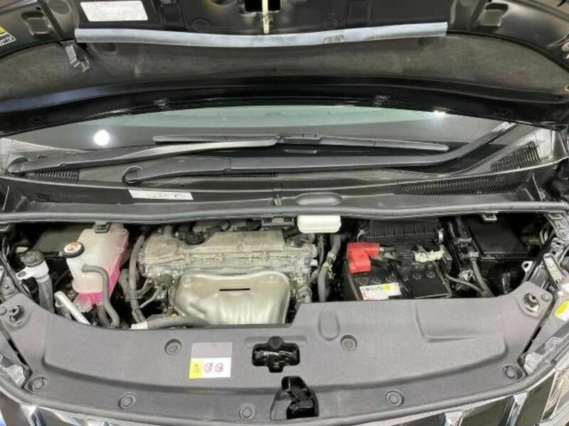 ALPHARD-19