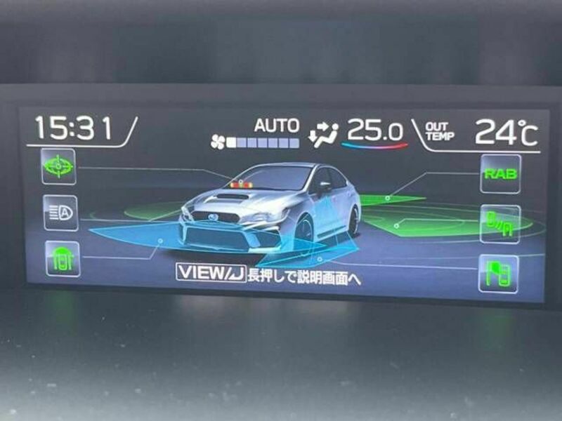 LEVORG-4
