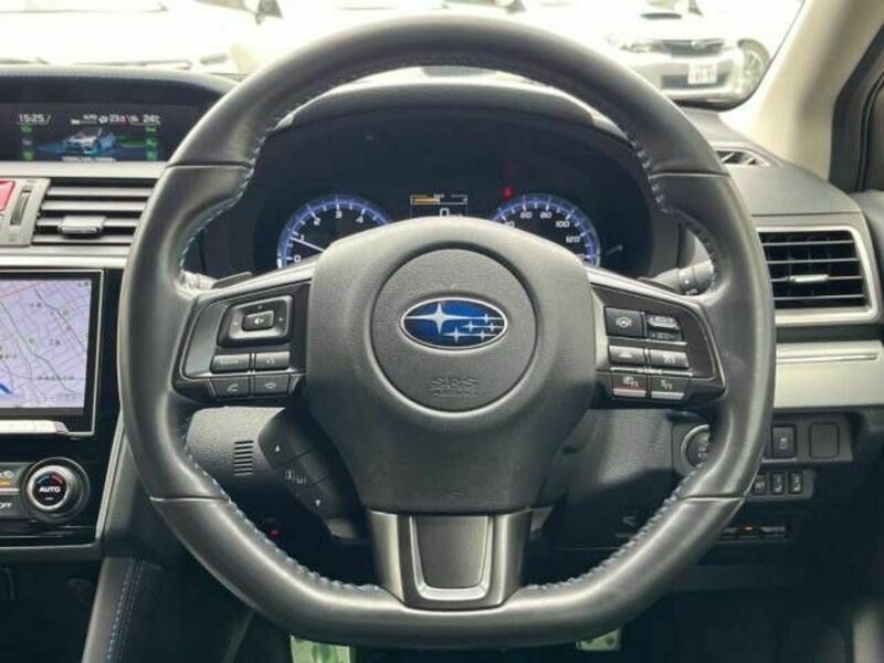 LEVORG-13