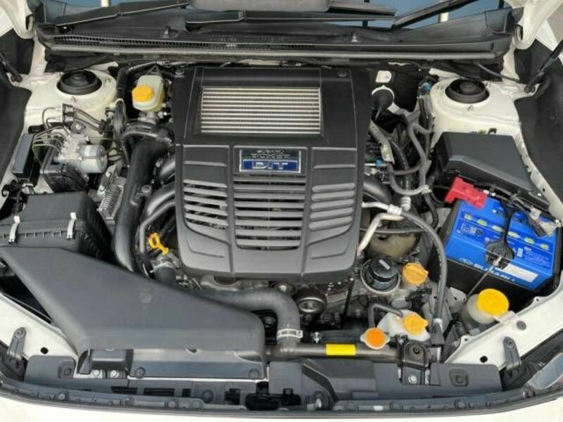 LEVORG-18
