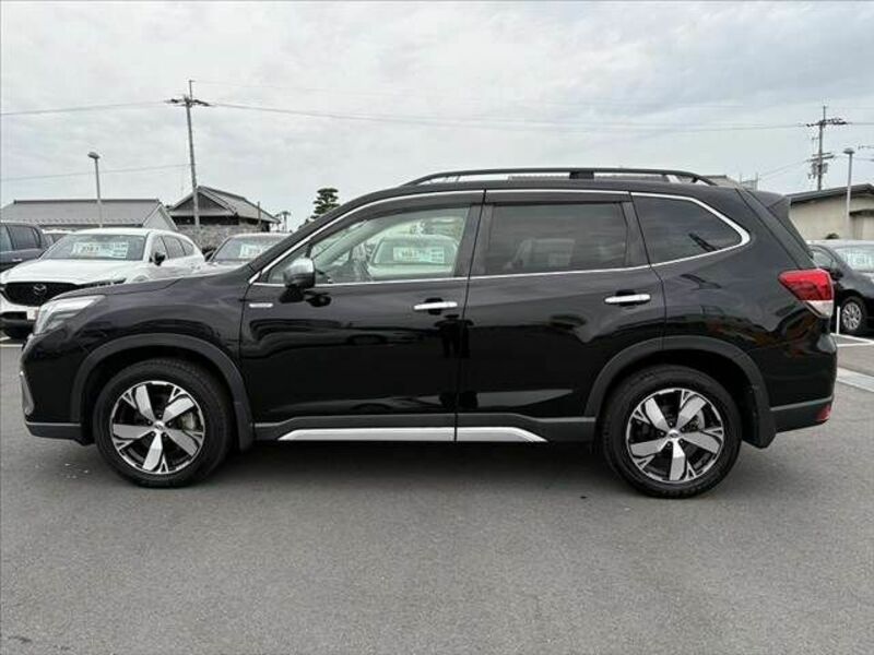 FORESTER