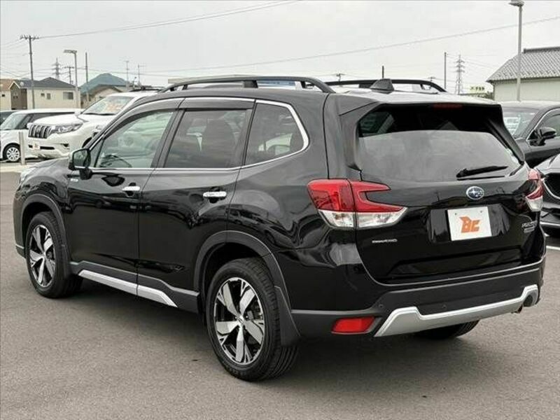 FORESTER