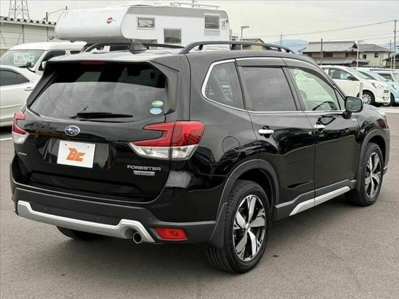 FORESTER