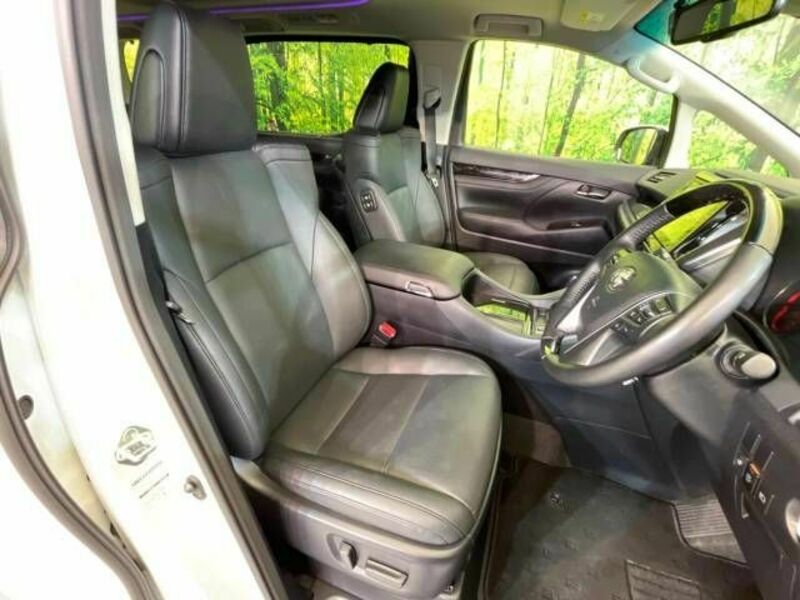 ALPHARD-7