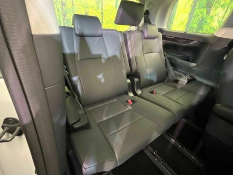 ALPHARD-9