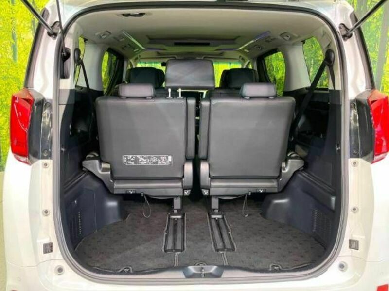 ALPHARD-10