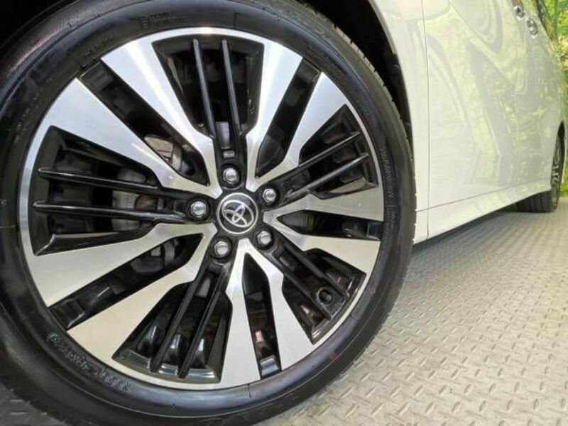 ALPHARD-13
