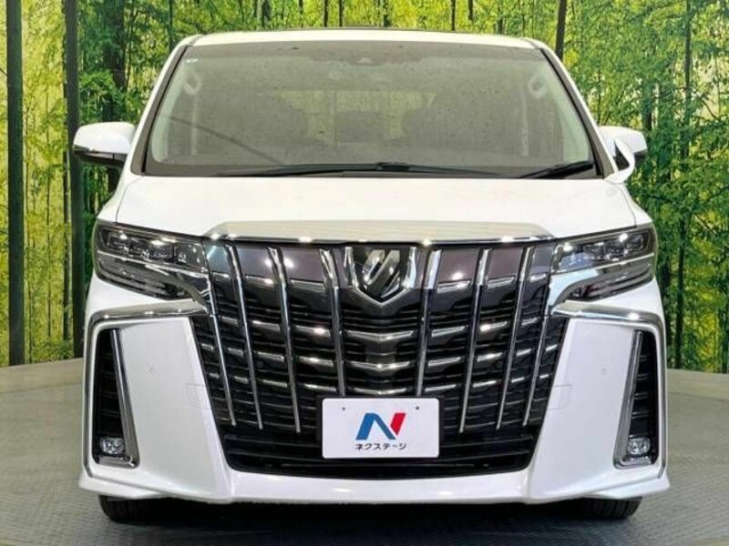 ALPHARD-14