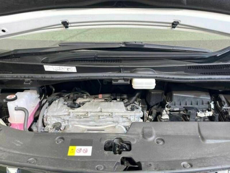 ALPHARD-18