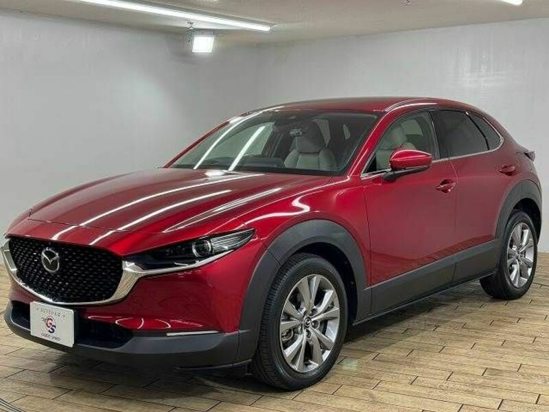 CX-30