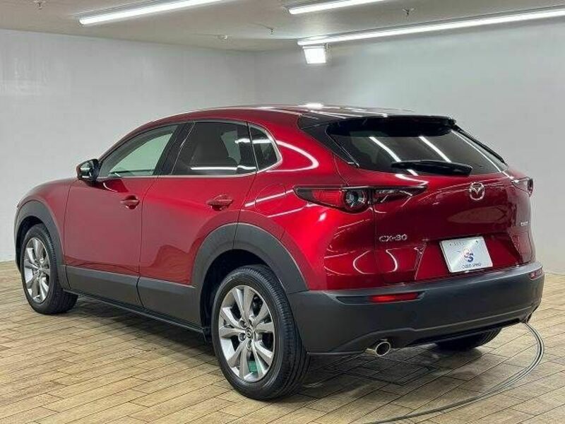 CX-30