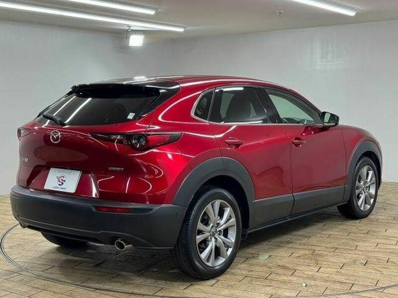 CX-30