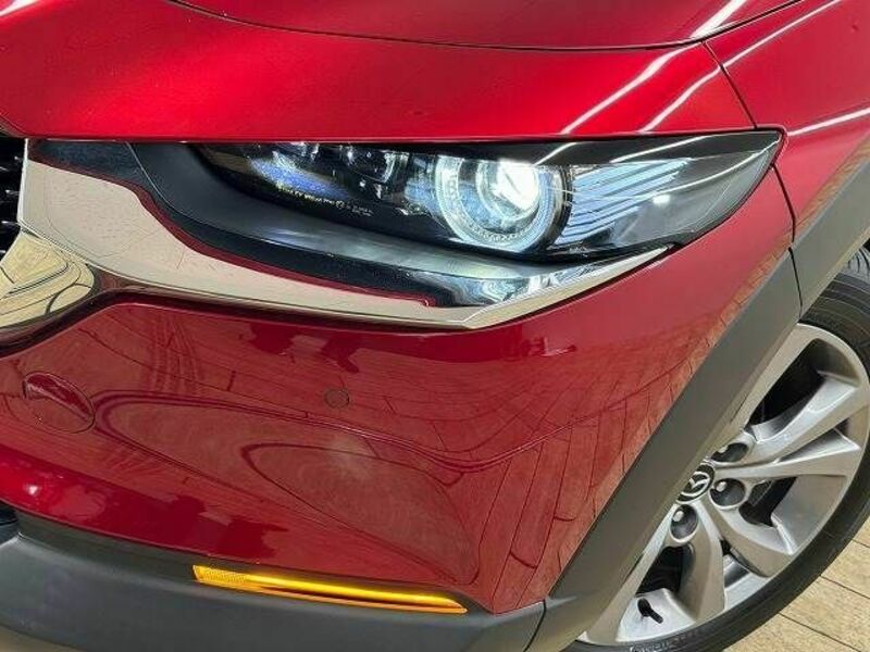 CX-30