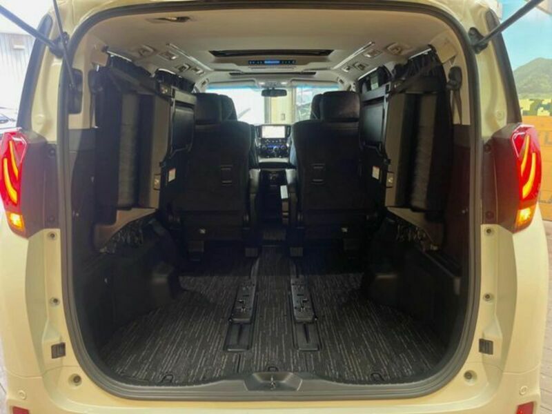ALPHARD-10