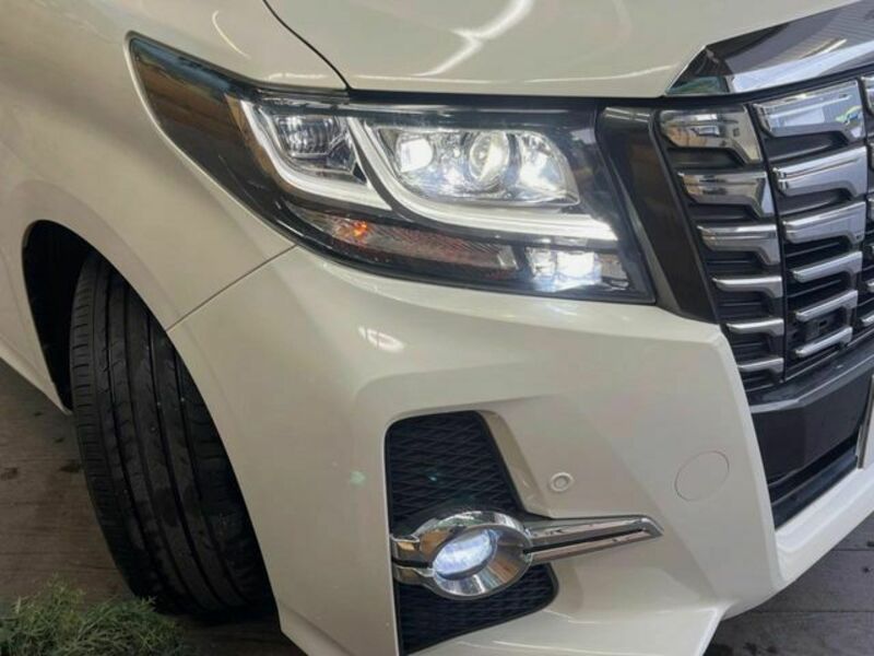 ALPHARD-12