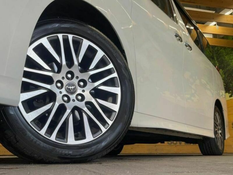 ALPHARD-13