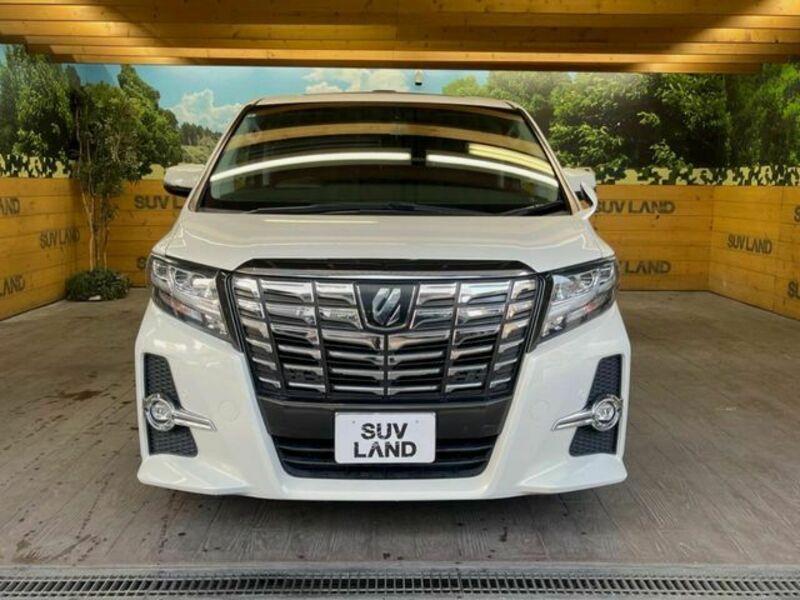 ALPHARD-14