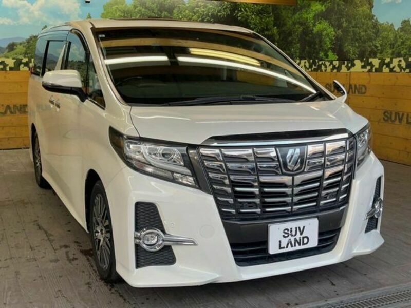 ALPHARD-16