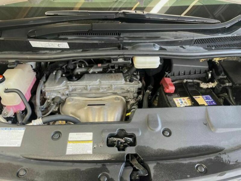 ALPHARD-18