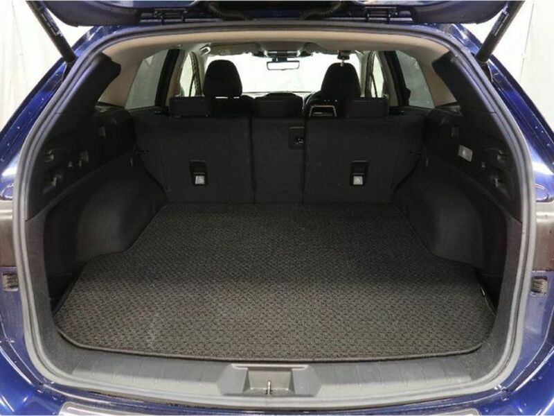 LEVORG-6
