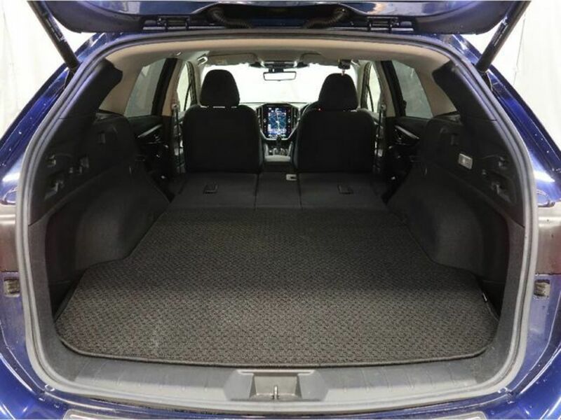 LEVORG-7