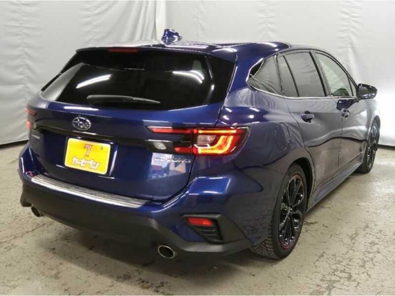 LEVORG-9