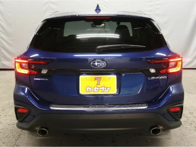 LEVORG-10