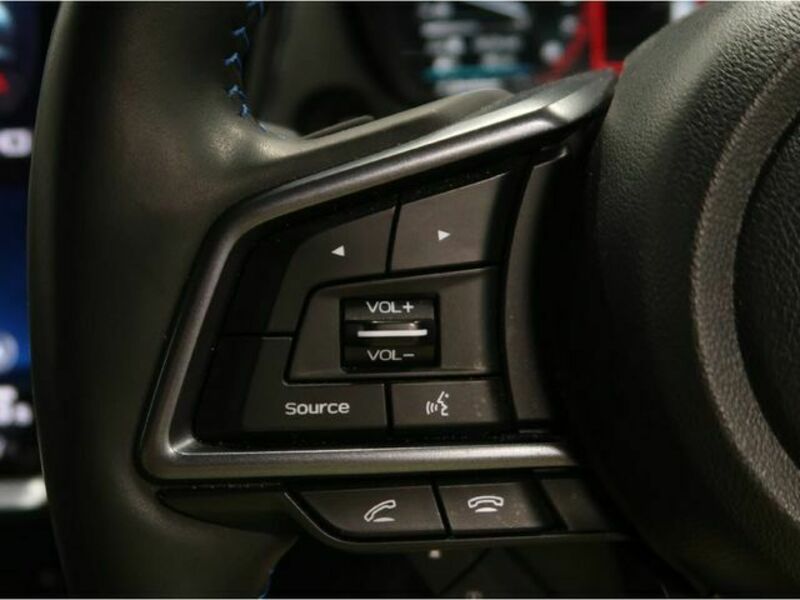 LEVORG-19