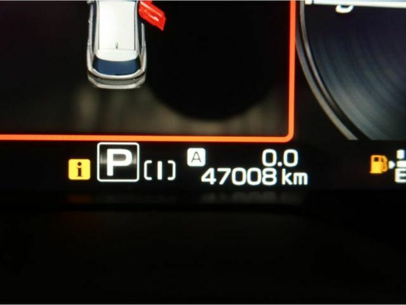 LEVORG-25