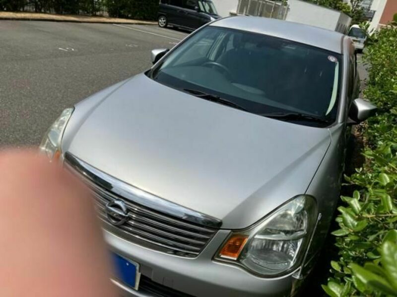 BLUEBIRD SYLPHY