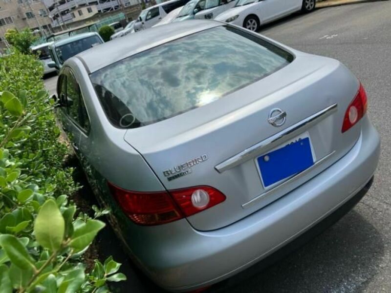 BLUEBIRD SYLPHY