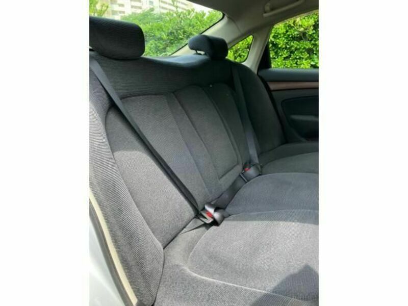 BLUEBIRD SYLPHY