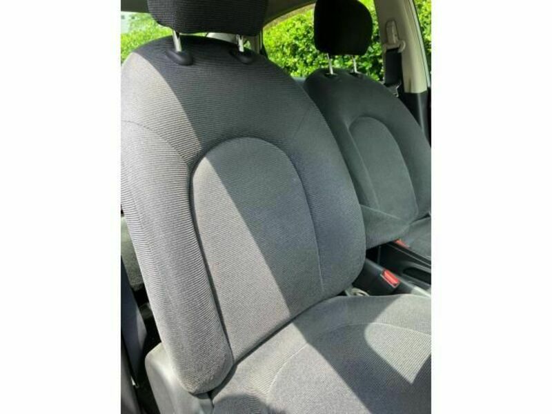 BLUEBIRD SYLPHY