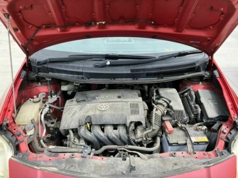 AURIS-13