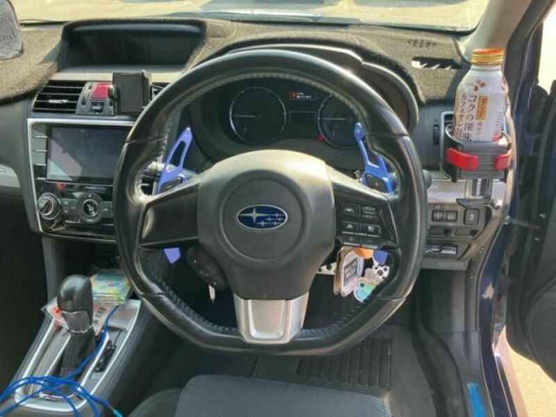 LEVORG