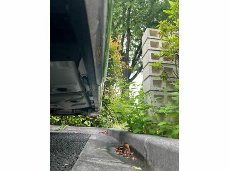 ALPHARD-27