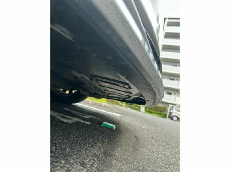 ALPHARD-28