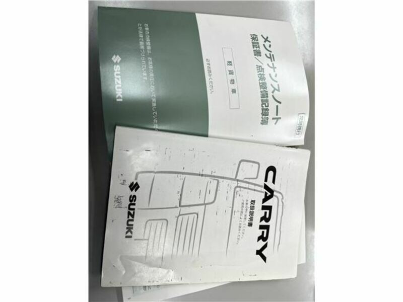 CARRY TRUCK-13