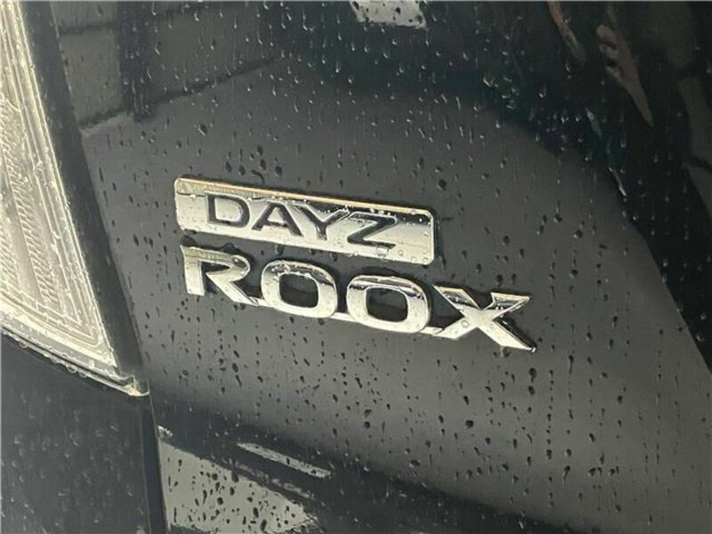 DAYZ ROOX