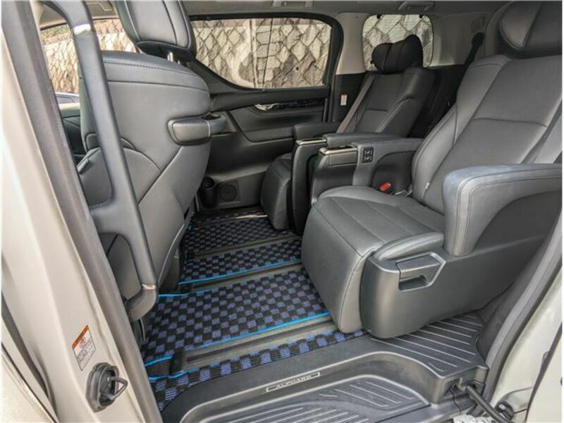 ALPHARD-13