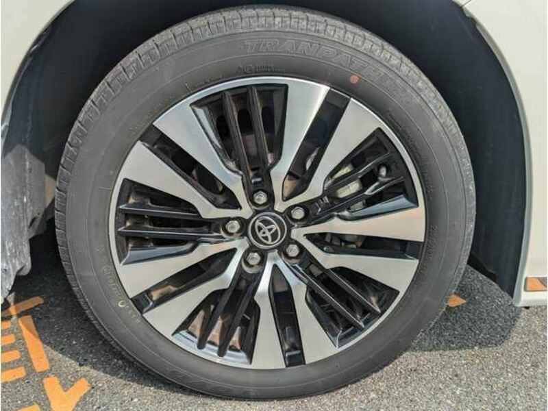 ALPHARD-33